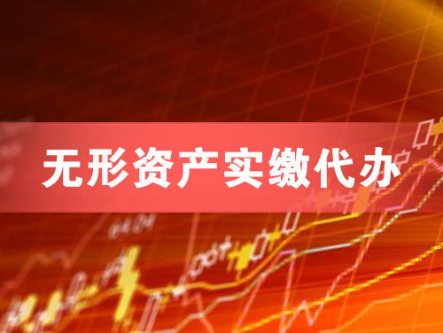 海西无形资产实缴资本代办