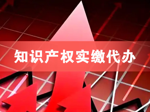 海西知识产权实缴资本代办